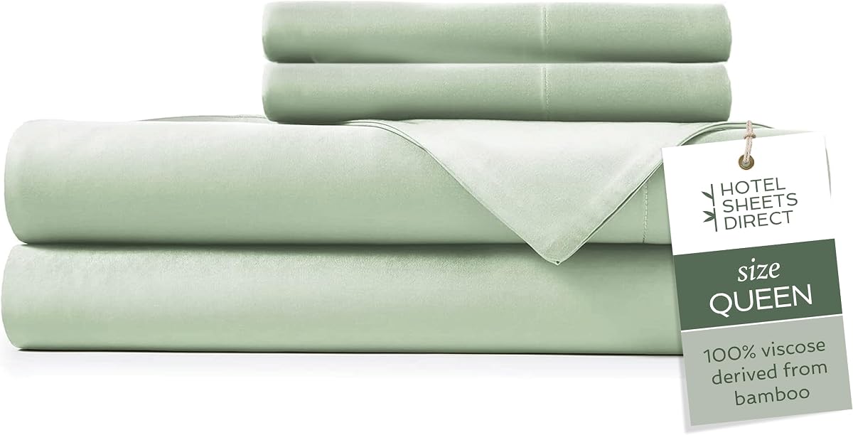 Queen 4-Piece Bamboo Sheet Set in Light Green